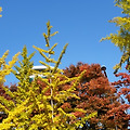 '이쁘네요 가을이~네, ' 글에 포함된 이미지