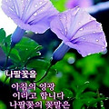 '🌏 한글,제1,2회 세' 글에 포함된 이미지