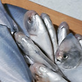 '' 글에 포함된 이미지