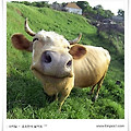 '모순잘못된 사회를 바' 글에 포함된 이미지