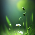'🌱나의 길道 3하루' 글에 포함된 이미지