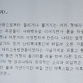 '[여러 형식의 문장들]' 글에 포함된 이미지