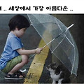 '배려는 침묵으로 말한' 글에 포함된 이미지
