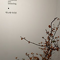 '라 카페 갤러리비영리' 글에 포함된 이미지