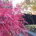 '🍂어느덧 가을이 저' 글에 포함된 이미지