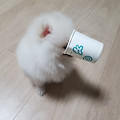 '마스크 착용 의무화법' 글에 포함된 이미지