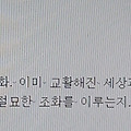 '[여러 형식의 문장들]' 글에 포함된 이미지