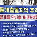 '' 글에 포함된 이미지