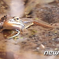'" 와우~ 경칩이다.이' 글에 포함된 이미지