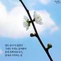 '힘든 날이 더 많았다' 글에 포함된 이미지