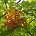 '🍁고운 당신손 잡아' 글에 포함된 이미지