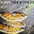 '만나는 사람마다 나의' 글에 포함된 이미지