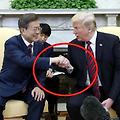 '손해보는듯한 작은 양' 글에 포함된 이미지