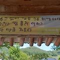 '젊은이들 이혼이 급증' 글에 포함된 이미지