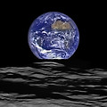 '🌍지구의 자원은인' 글에 포함된 이미지