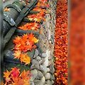 '🍂누군가에게 시간' 글에 포함된 이미지