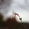 '🌿주객일치(主客一' 글에 포함된 이미지