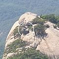 '🌿다름과 틀림, 그' 글에 포함된 이미지