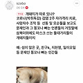 'szabo님아 퇴청할 시' 글에 포함된 이미지