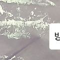 '<에나멜 페인' 글에 포함된 이미지