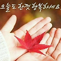 '🍂어떤 날은 그리움' 글에 포함된 이미지
