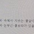 '[여러 형식의 문장들]' 글에 포함된 이미지