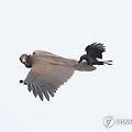 '🐦李대통령, 나토 ' 글에 포함된 이미지