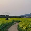 '🌿나의 길내가 걸어' 글에 포함된 이미지