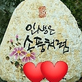'🐦자신을 존중하는 ' 글에 포함된 이미지