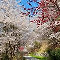 '          4月의 詩  ' 글에 포함된 이미지