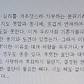 '[여러 형식의 문장들]' 글에 포함된 이미지
