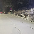'힘찬 월요일 뜻한대로' 글에 포함된 이미지