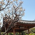 '서울의 봄입니다아직' 글에 포함된 이미지