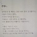'<시>' 글에 포함된 이미지