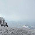 '🍂소설小雪오늘은첫' 글에 포함된 이미지