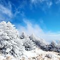 '눈(雪)/ 金笠(김삿갓)' 글에 포함된 이미지