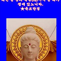 '🌿 두 번 지지 마라' 글에 포함된 이미지