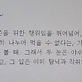 '[여러 형식의 문장들]' 글에 포함된 이미지