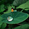 '🌿자신을 예쁘게 만' 글에 포함된 이미지