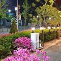 '🌿한 사람도 사랑해' 글에 포함된 이미지
