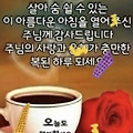 댓글 첨부 이미지