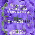 댓글 첨부 이미지