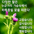 댓글 첨부 이미지