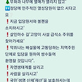댓글 첨부 이미지