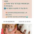 댓글 첨부 이미지