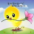 댓글 첨부 이미지