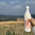 '제주도민의 하루' 글에 포함된 이미지