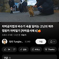 '떳다! 차박!' 글에 포함된 이미지