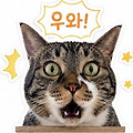 '' 글에 포함된 이미지