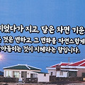 '금능바닷가에서' 글에 포함된 이미지